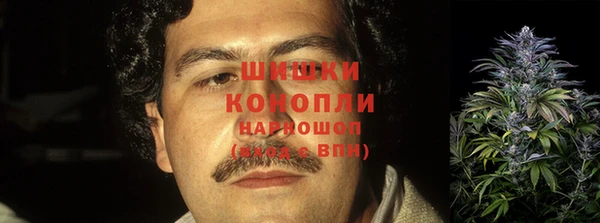 метадон Няндома
