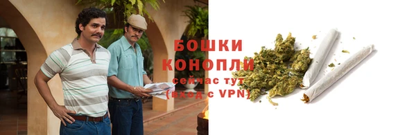 метадон Няндома
