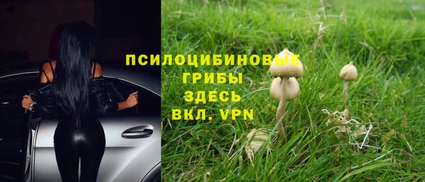 метадон Няндома