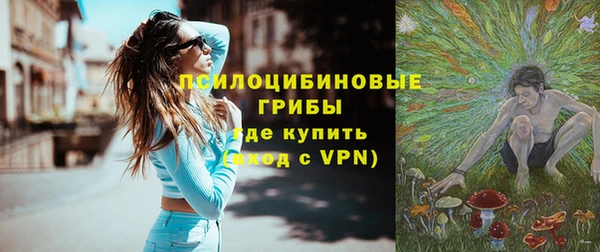сатива Нязепетровск