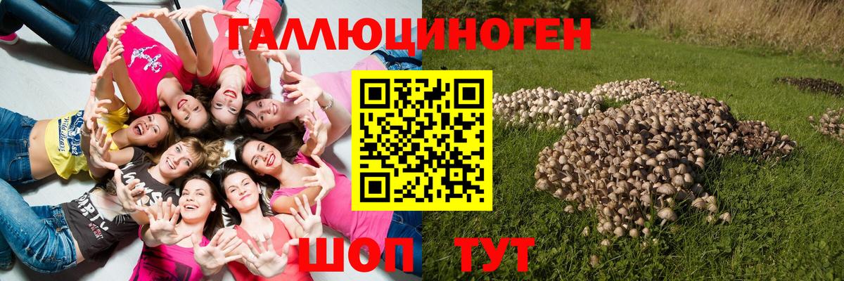 Галлюциногенные грибы мухоморы Алексеевка