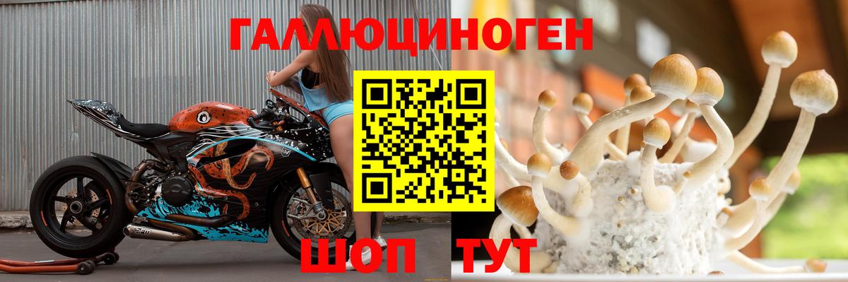Алексеевка  Галлюциногенные грибы Cubensis  Вход с VPN 