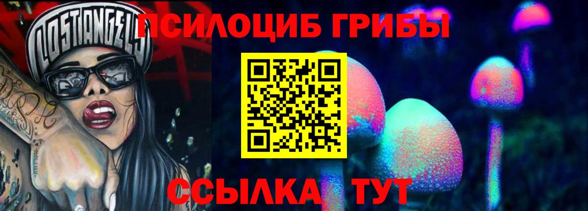 Псилоцибиновые грибы Cubensis Алексеевка