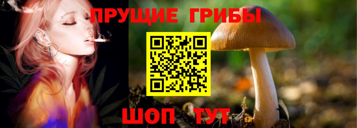 Псилоцибиновые грибы прущие грибы Алексеевка