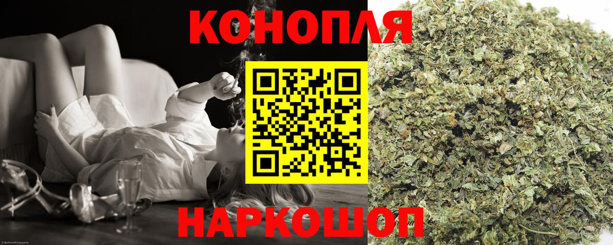 Марихуана сатива Алексеевка